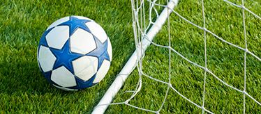 Sports Artificial Turf