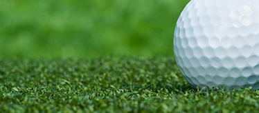 ​Golf Putting Green Grass
