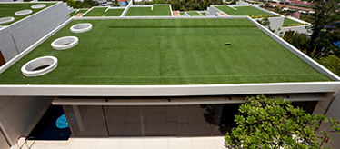 ​Landscape Artificial Grass